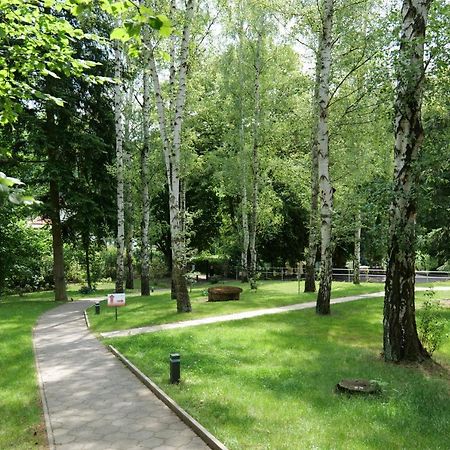 Penzion Harmony Javornik Ctyrkoly Екстер'єр фото
