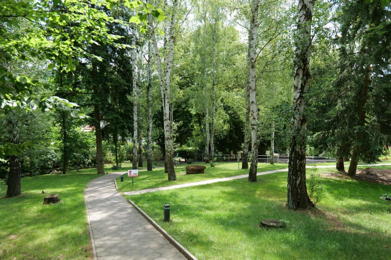 Penzion Harmony Javornik Ctyrkoly Екстер'єр фото